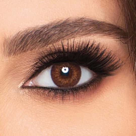 Freshlook Colorblends - Brown with Power Expires within 4 - 6 mos.