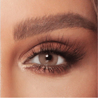 Amara Amara Pure Hazel with Power Expires within 7 - 12 months - 0.75 - Optica