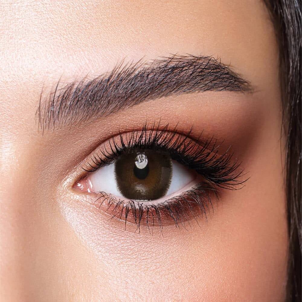 Bella BELLA ONE DAY COLOR Cedar - Optica