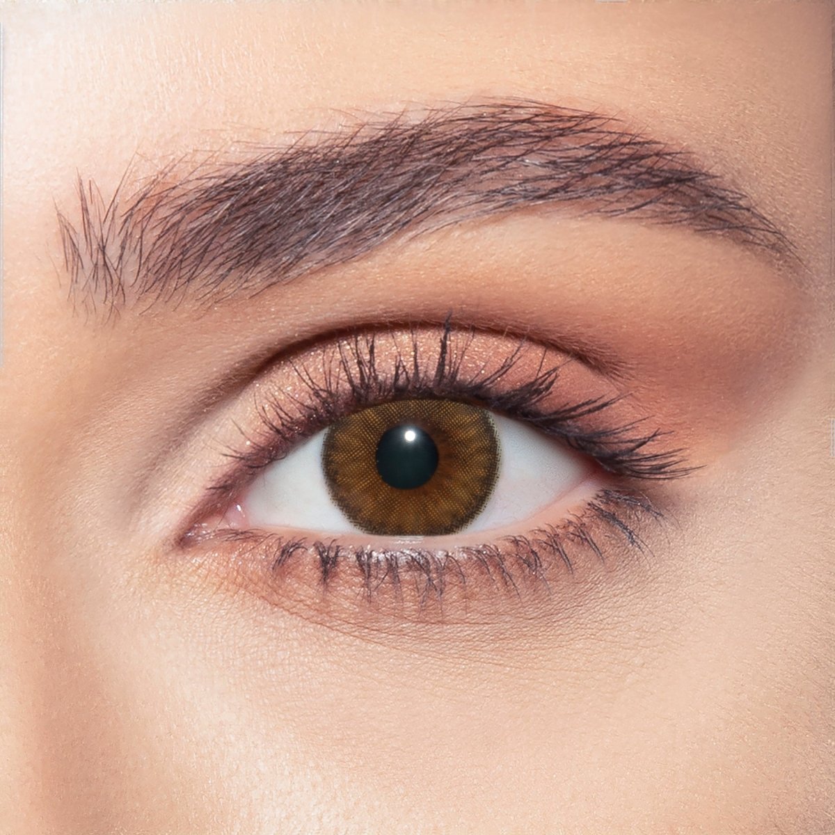 Bella BELLA ONE DAY COLOR NEW Nerelle - Optica