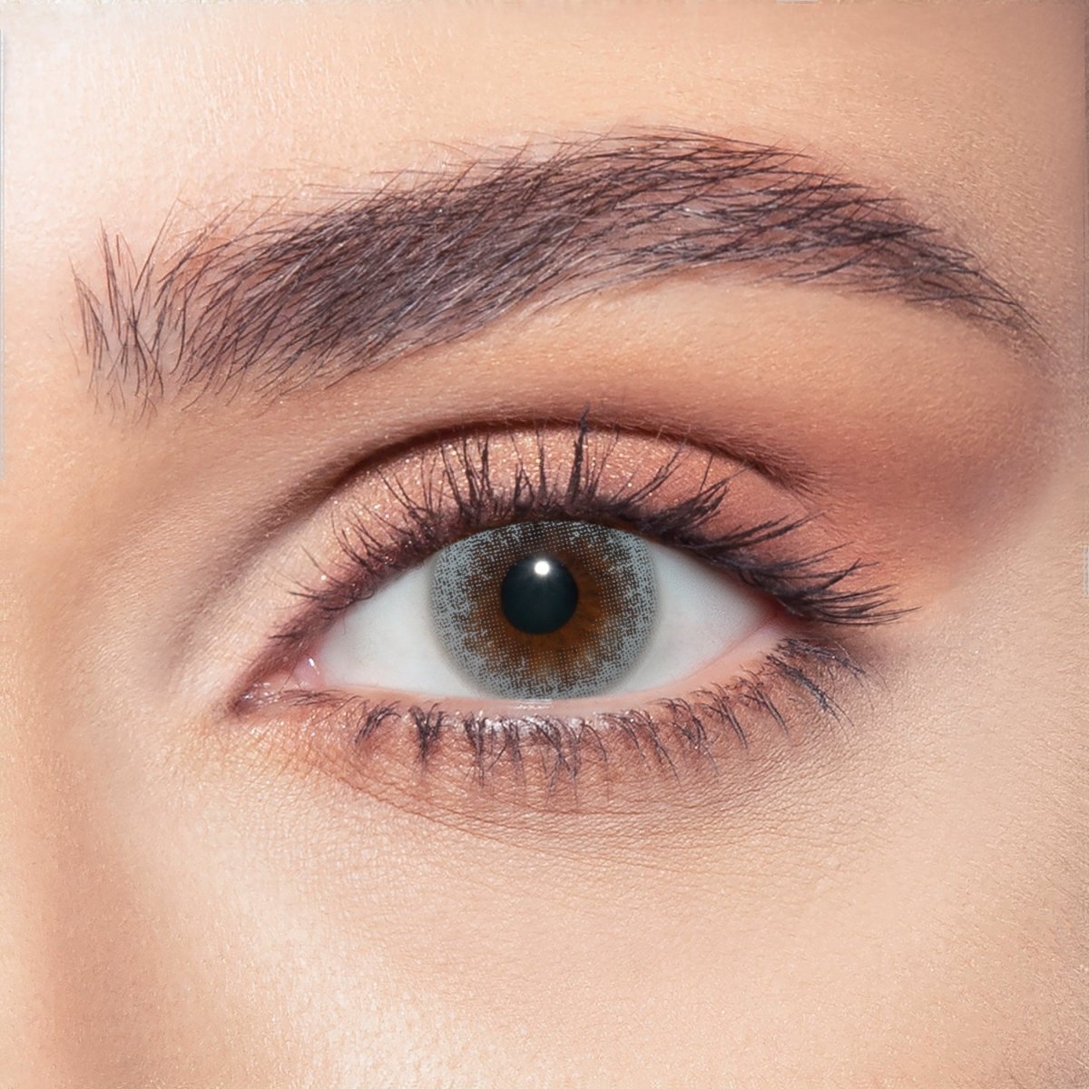 Bella BELLA ONE DAY COLOR NEW Silent Gray - Optica