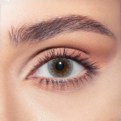 Bella BELLA ONE DAY COLOR NEW Silent Gray - Optica