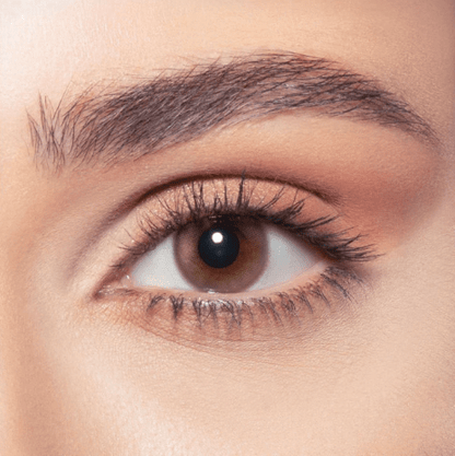 Bella BELLA ONE DAY COLOR NEW Venus - Optica