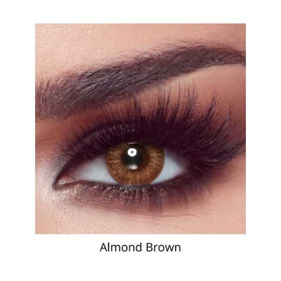 Bella One Day Color - Almond Brown with Power Bella One Day Color - Almond Brown with Power - 0.50 - Optica