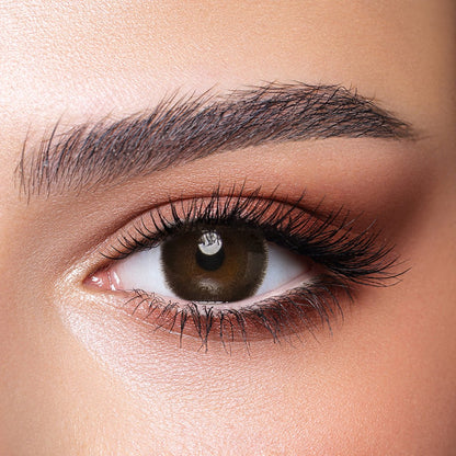 Bella BELLA ONE DAY COLOR Cedar - Optica