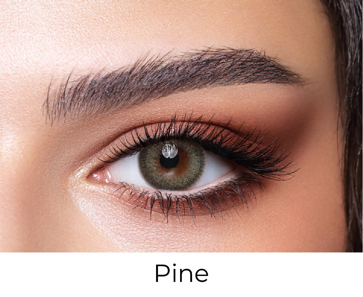 Bella BELLA ONE DAY COLOR Pine - Optica