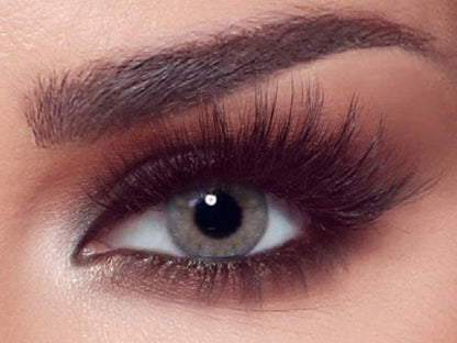 Bella BELLA ONE DAY COLOR Rosewood - Optica